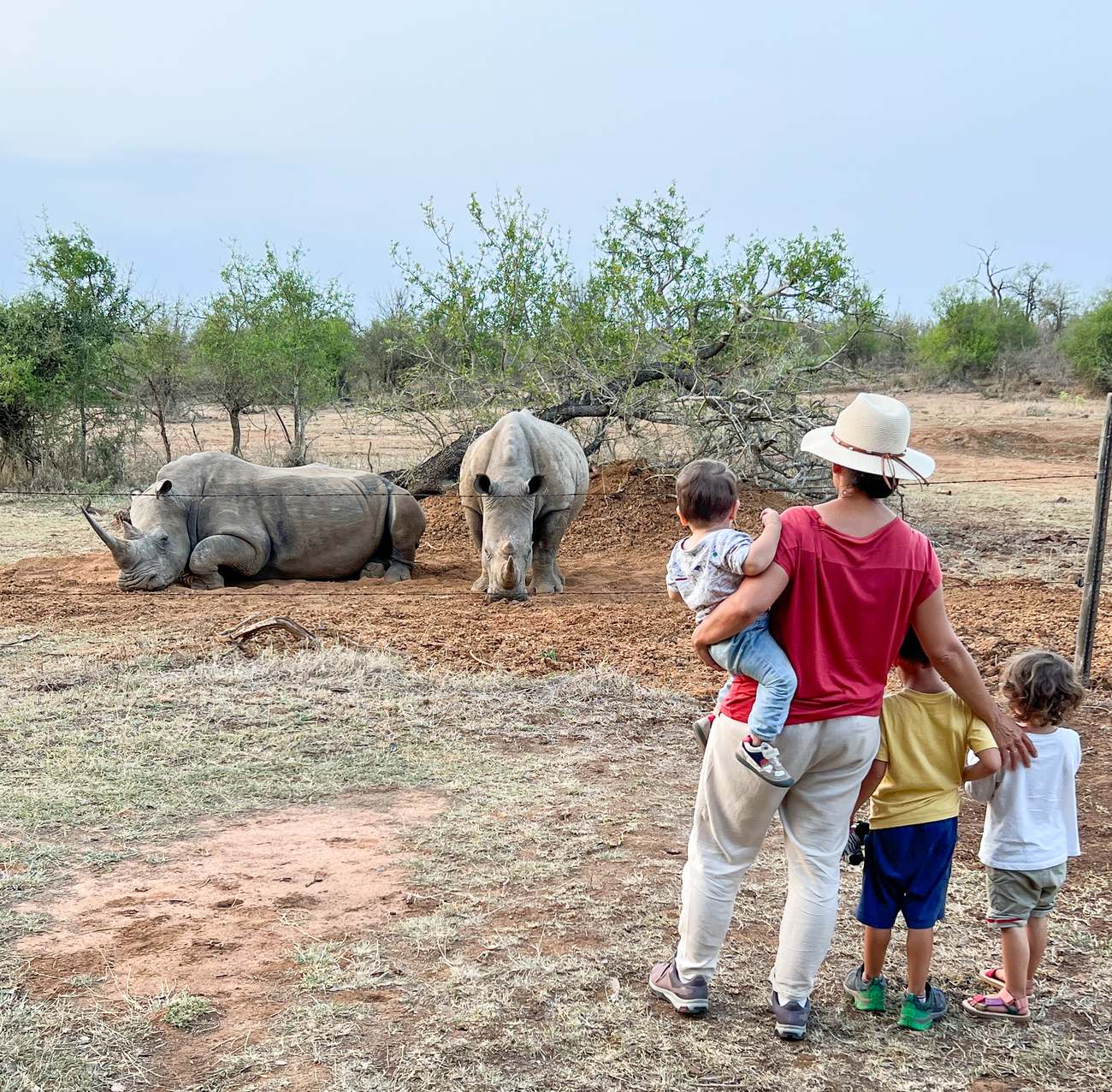 Familia ante dos rinocerontes en un safari en Sudáfrica