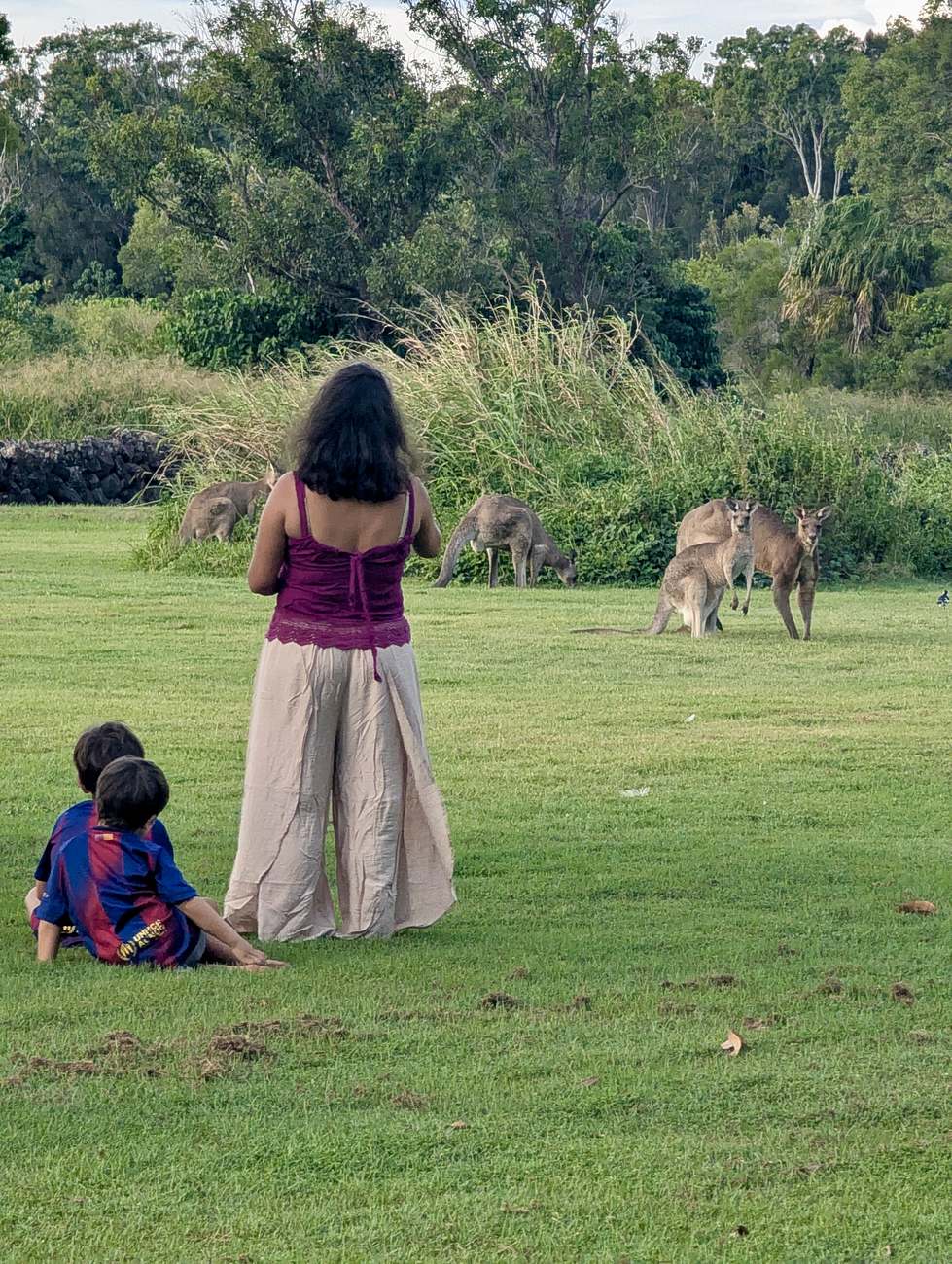 Familia observando canguros en Queensland, Australia