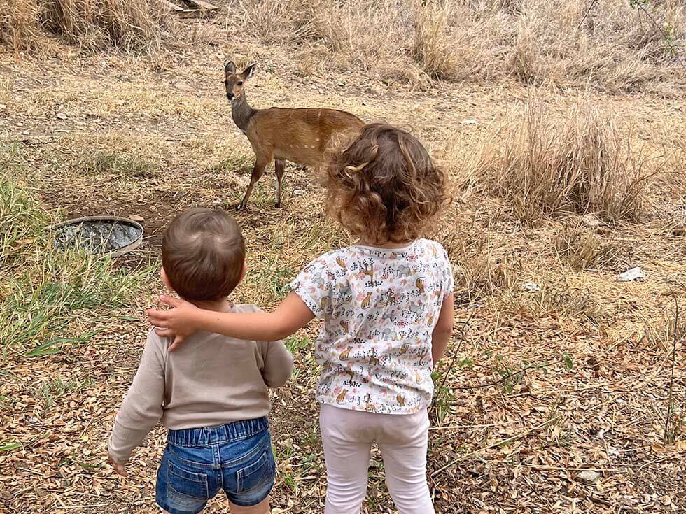Dos peques de espaldas, uno con el brazo sobre el otro, mirando a un antílope a pocos metros en la hierba seca