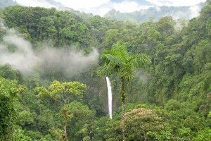 Cascada1