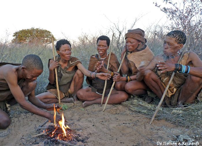 tribu de bosquimanos