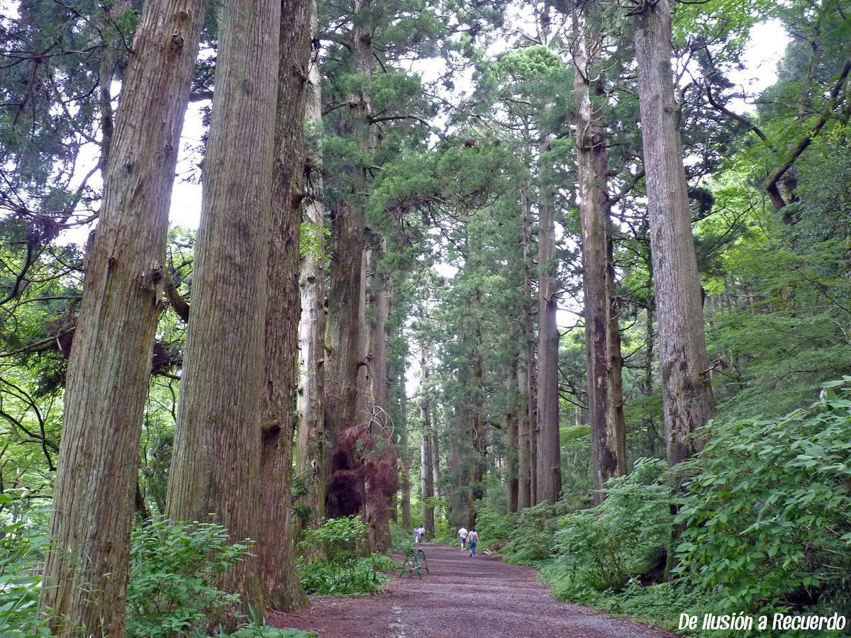 Hakone Japón