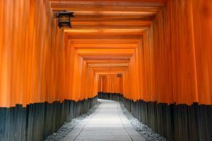 Toris de Fushimi Inari Kioto