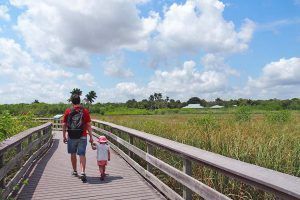 que hacer en Everglades