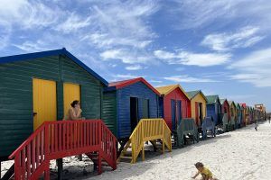 Las 10 mejores excursiones desde Ciudad del Cabo