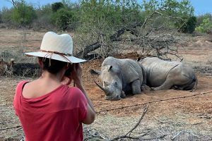 una mujer fotografiando rinocerontes durante un safari en Esuatini