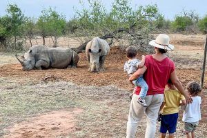 Safari con ninos hlane 1
