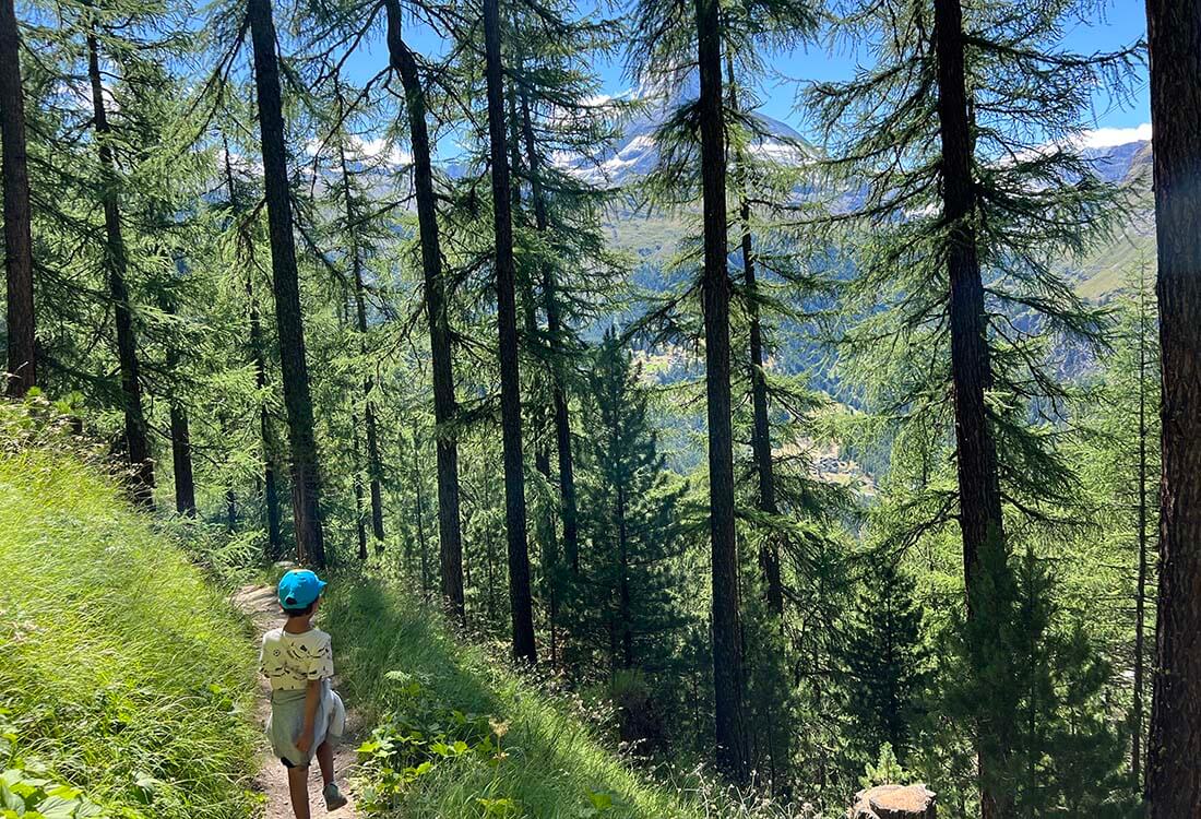 a child passing through a forest on the way down to Zermatt in Switzerland