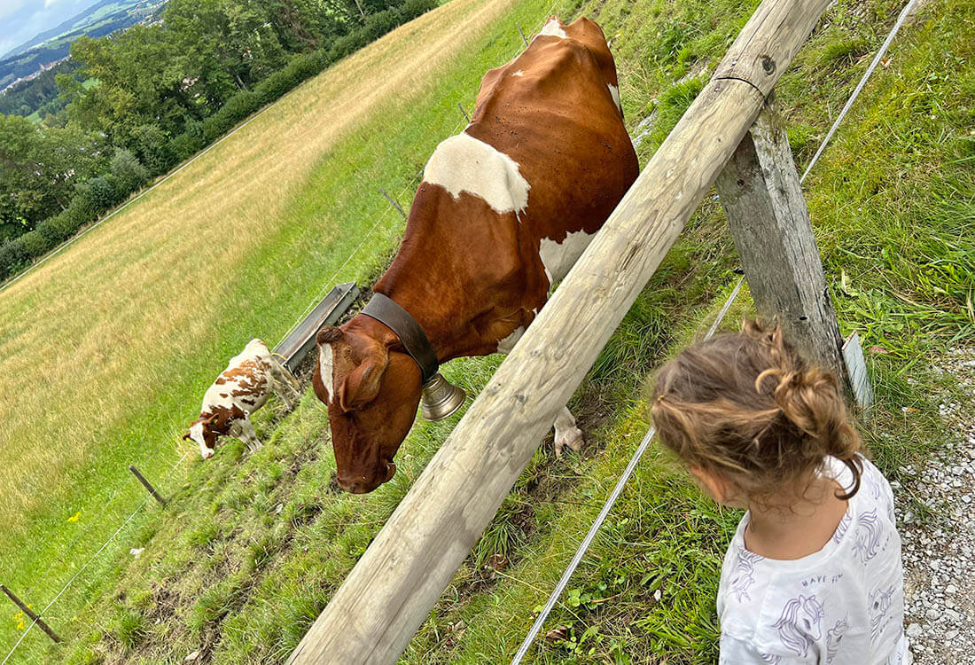 girl next to a Swiss cow