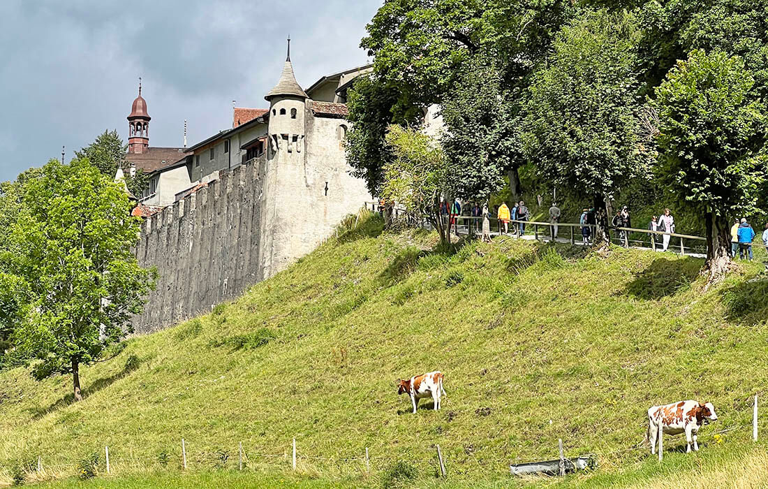 cows at the entrance to the medieval city of Gruyères
