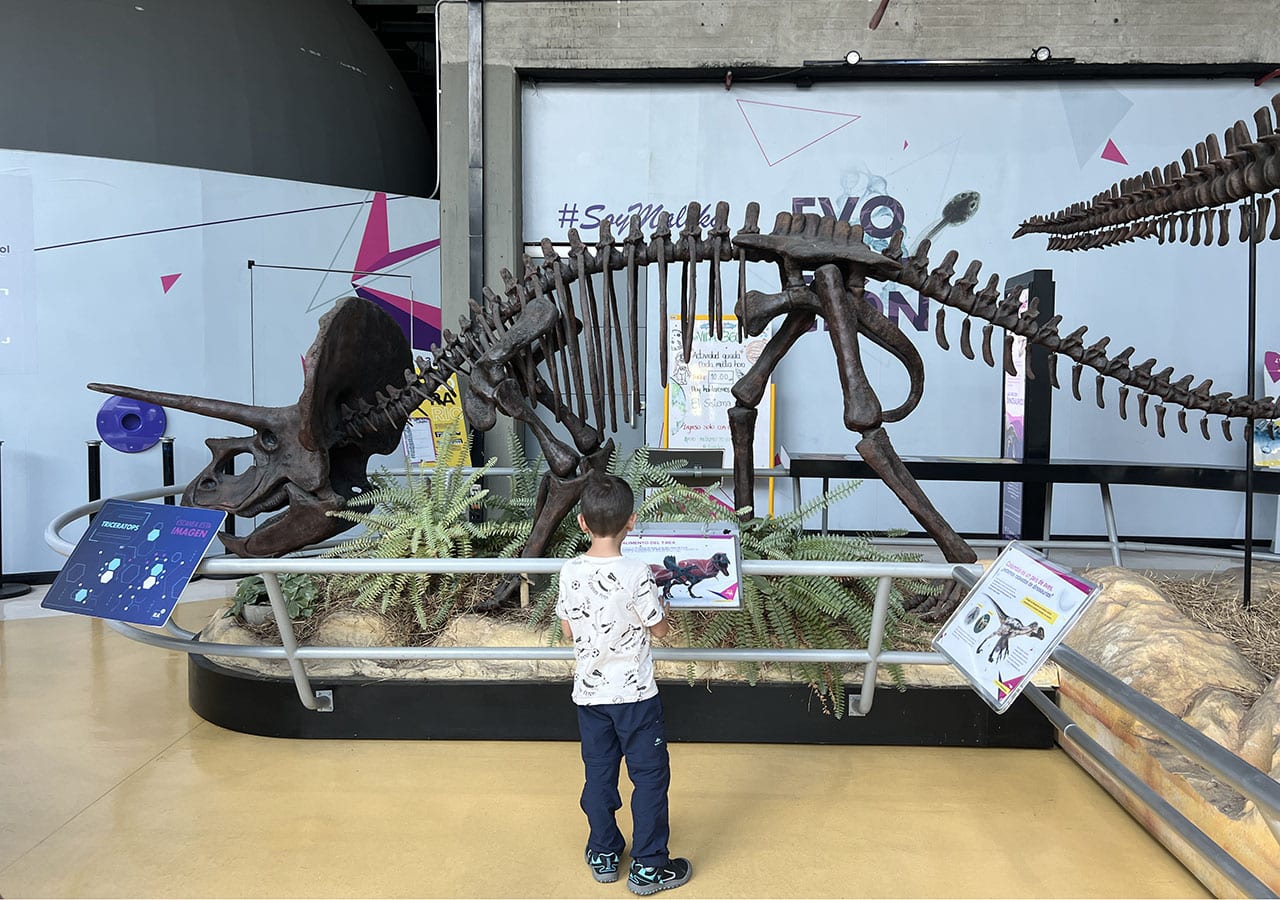 museo de ciencias Maloka en Bogota es un buen plan que hacer con niños en Colombia