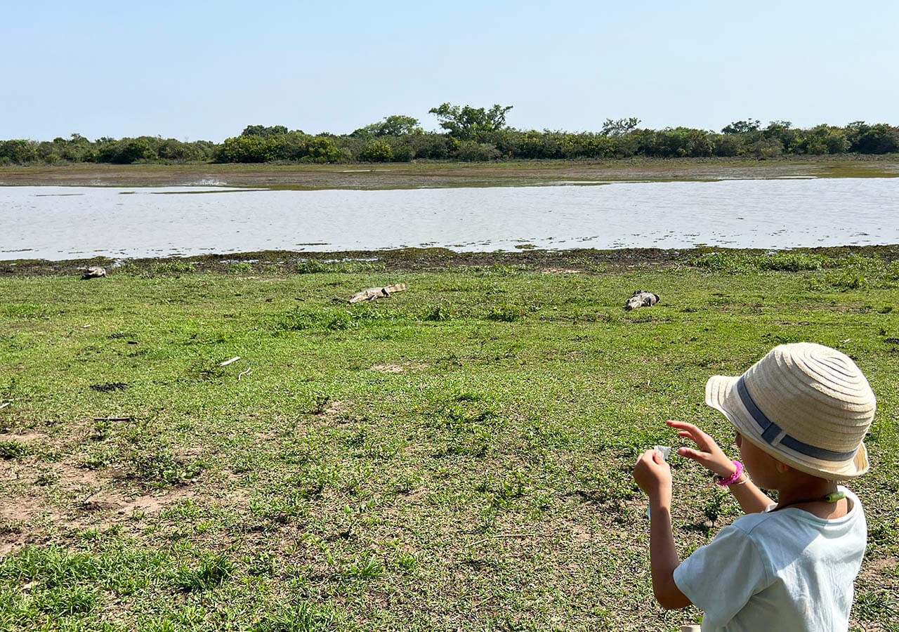 Niño junto a tres caimanes en Los Llanos Colombia