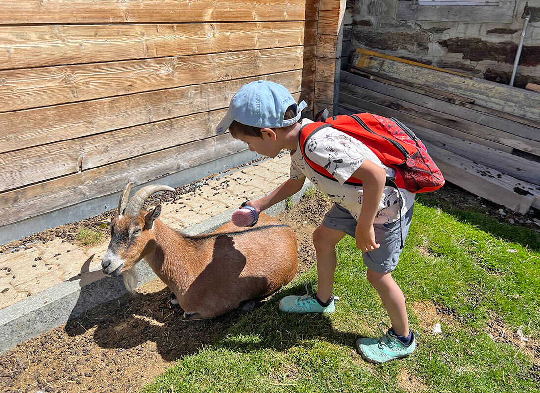un nino en Suiza acariciando a una cabrita