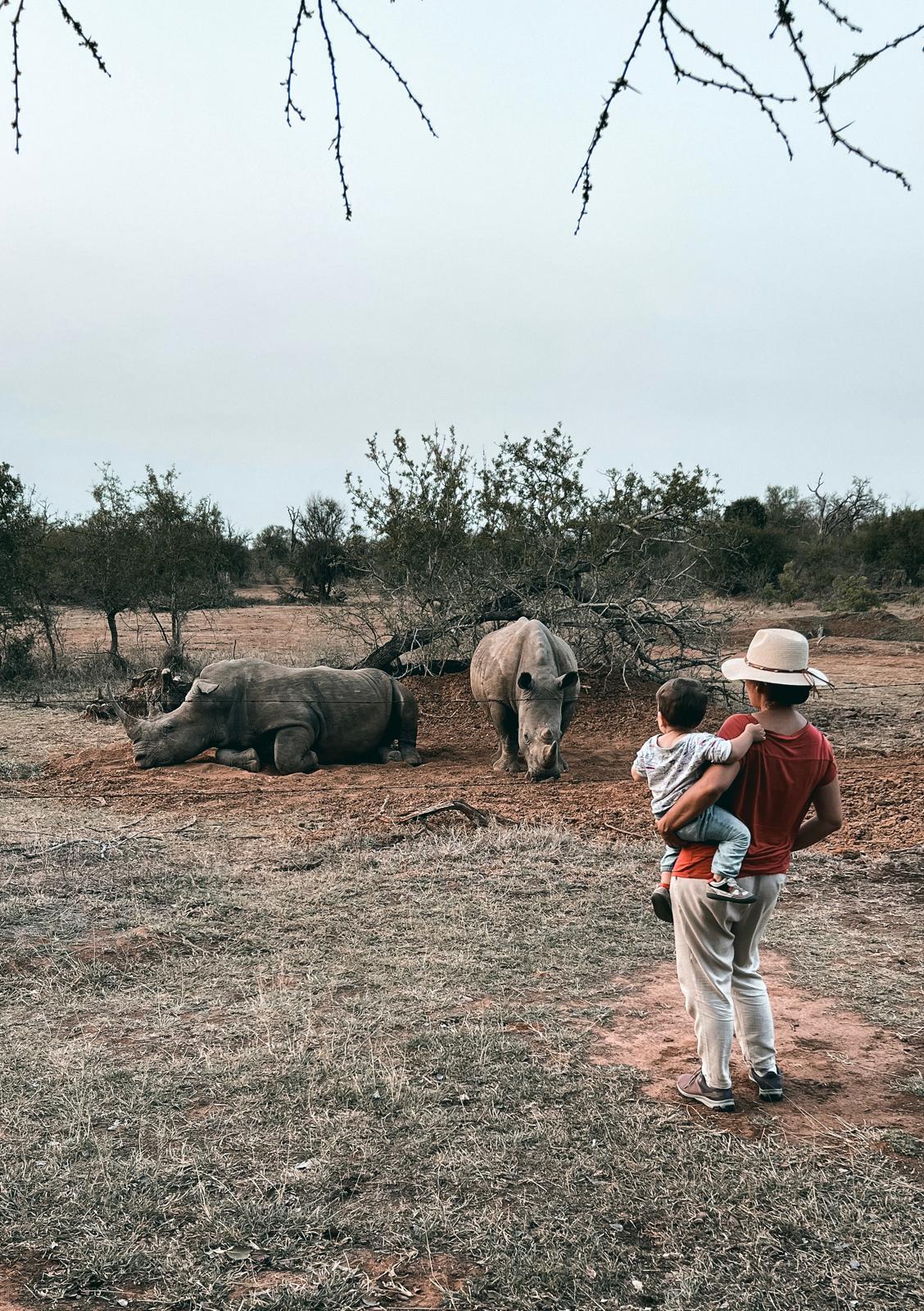 organizar viaje a Sudáfrica con niños