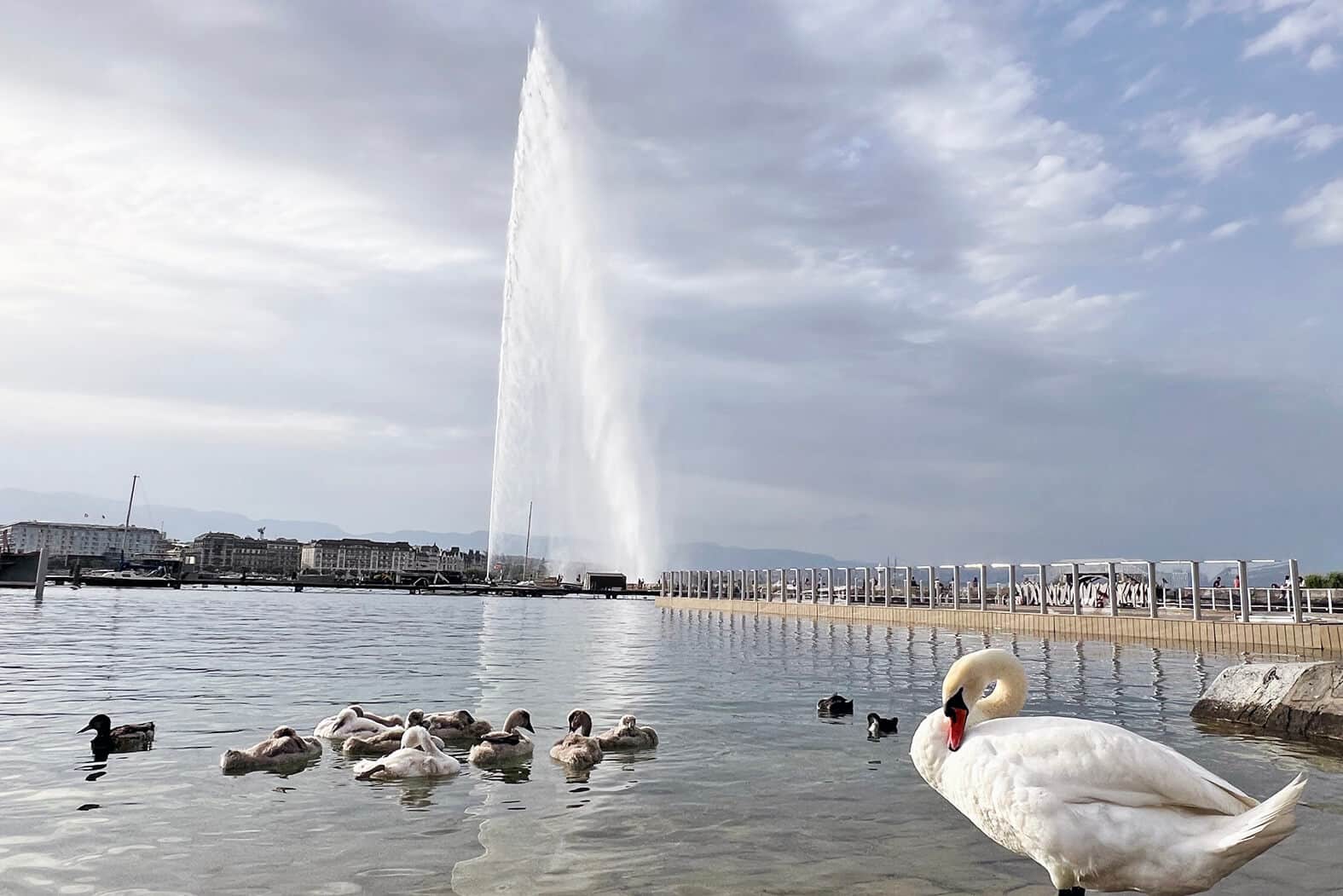que ver en ginebra: Jet D'Eau