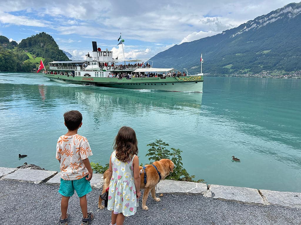 el swiss travel pass incluye los cruceros en barco por Suiza