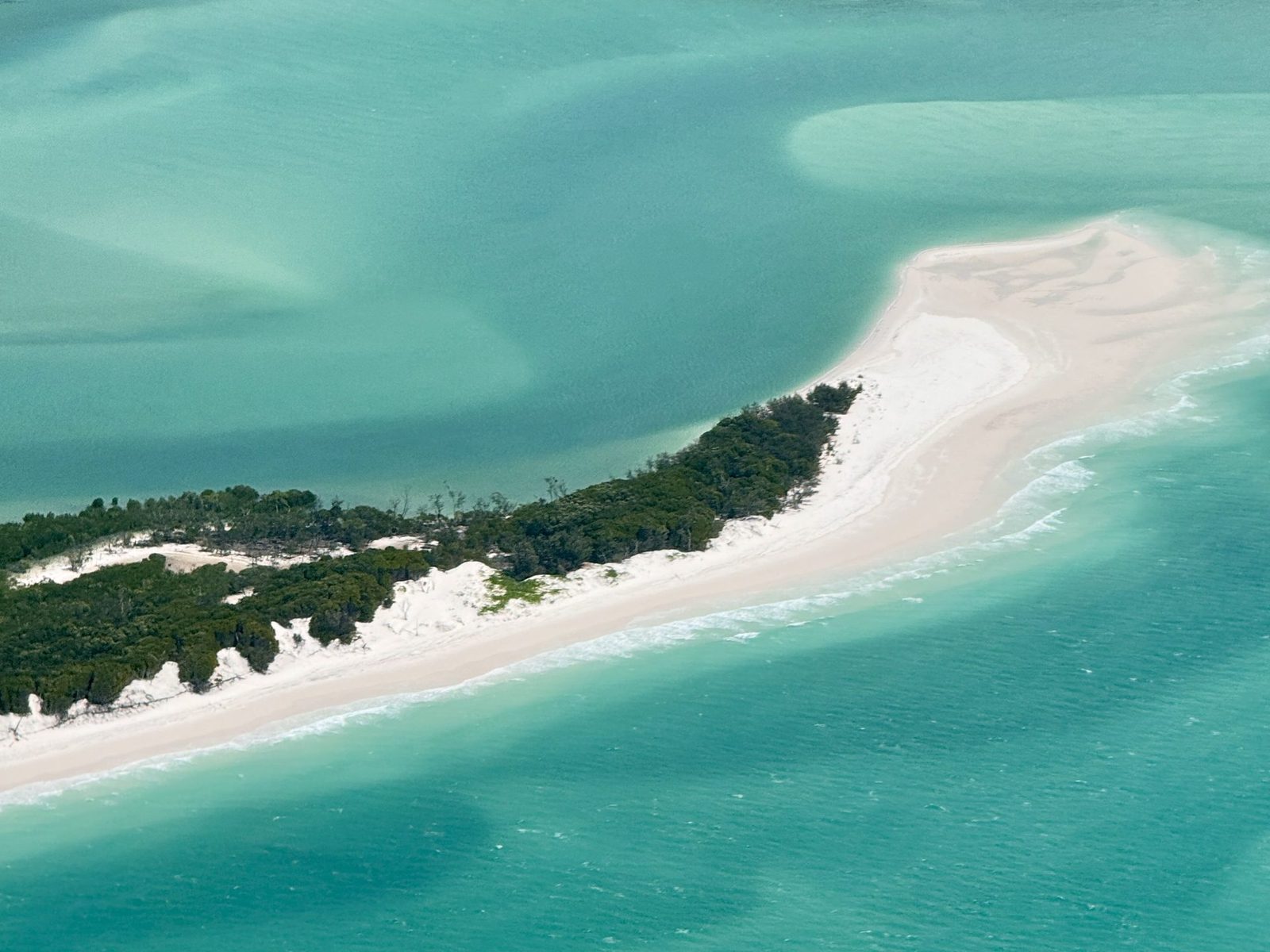 Australia con ninos whitsundays isla excursion