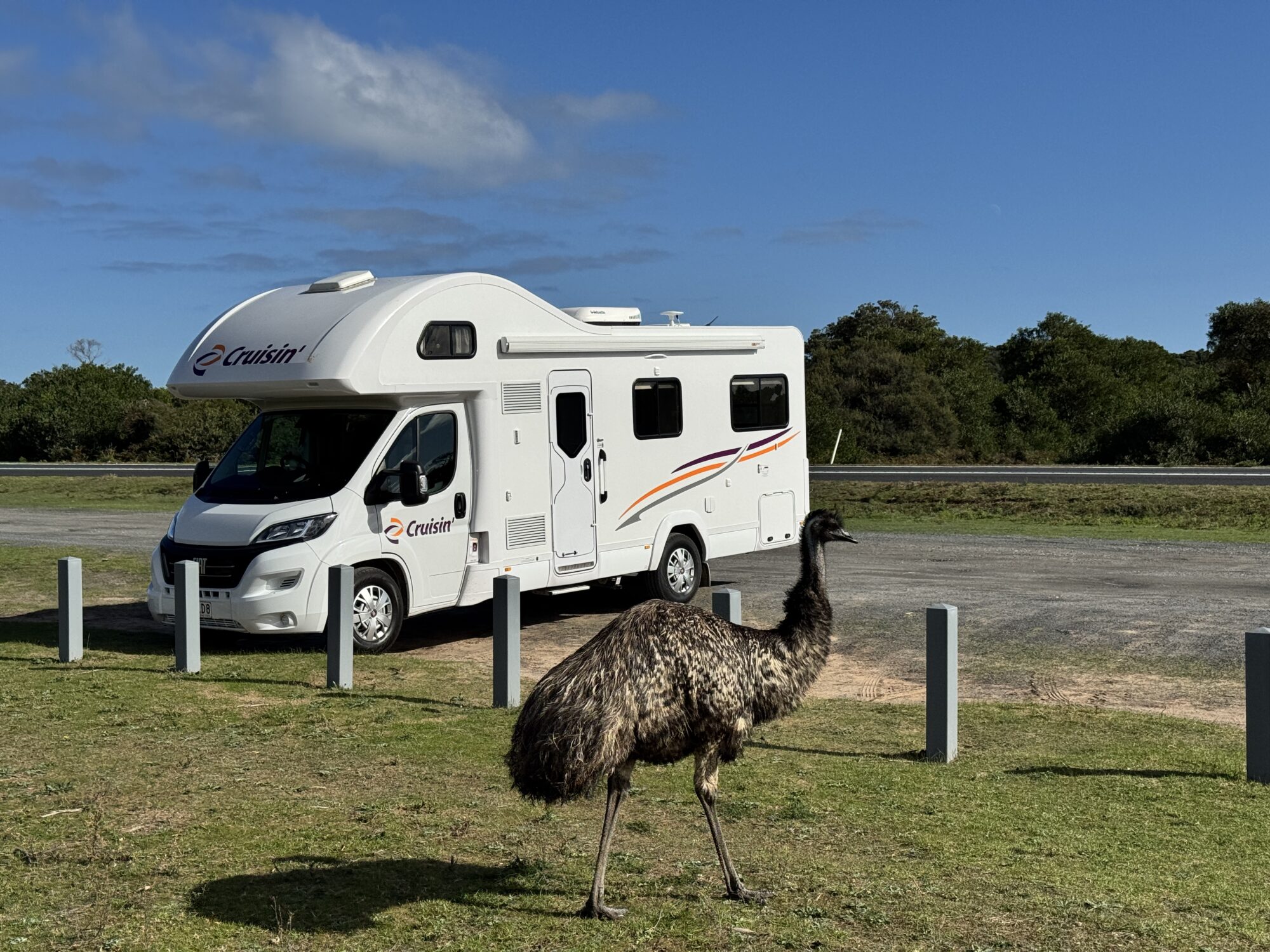 Encounter with an emu while traveling in a motorhome through Australia with children