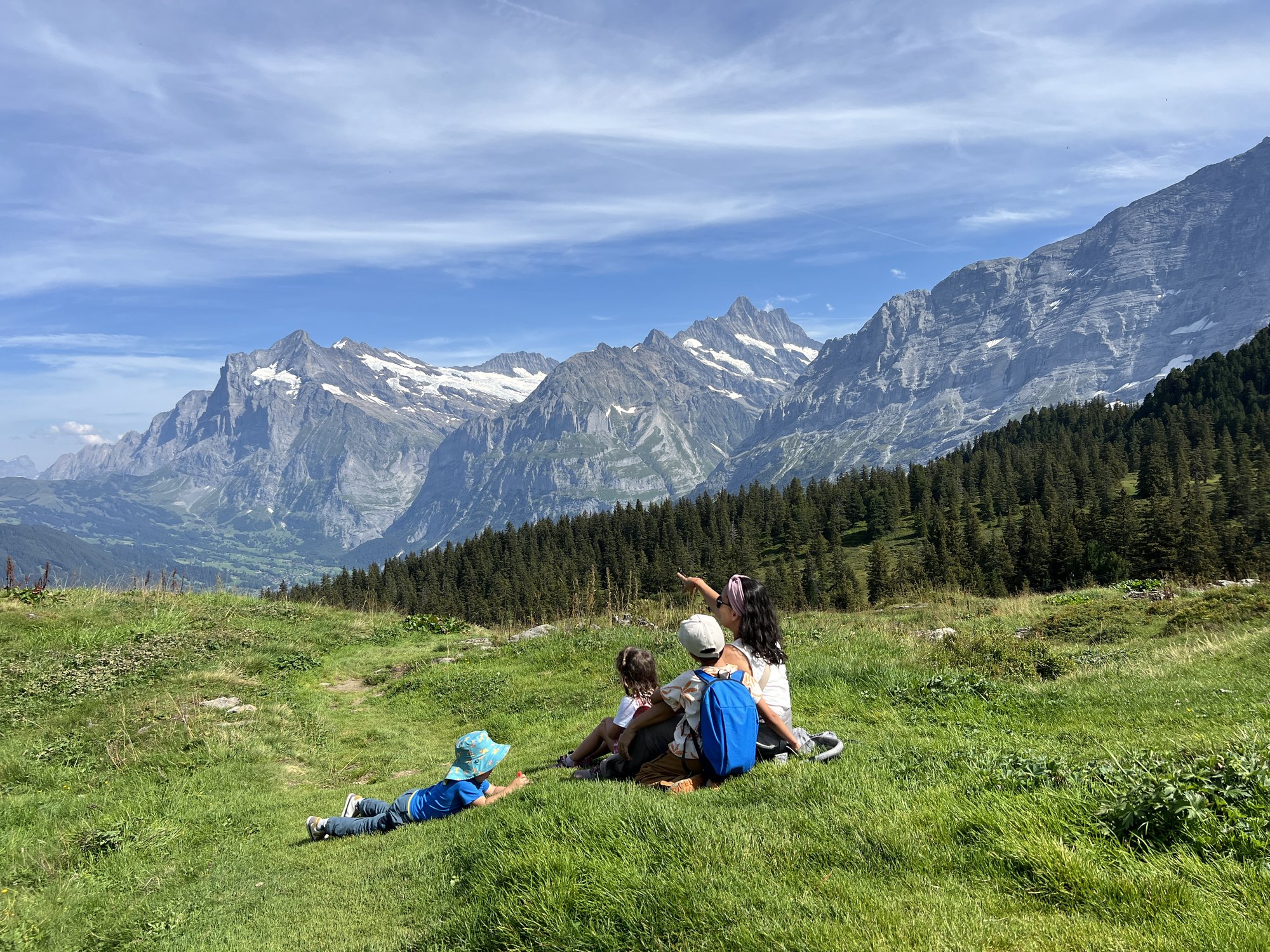 paisaje de montaña en Grindelwald, región del Jungfrau en Suiza